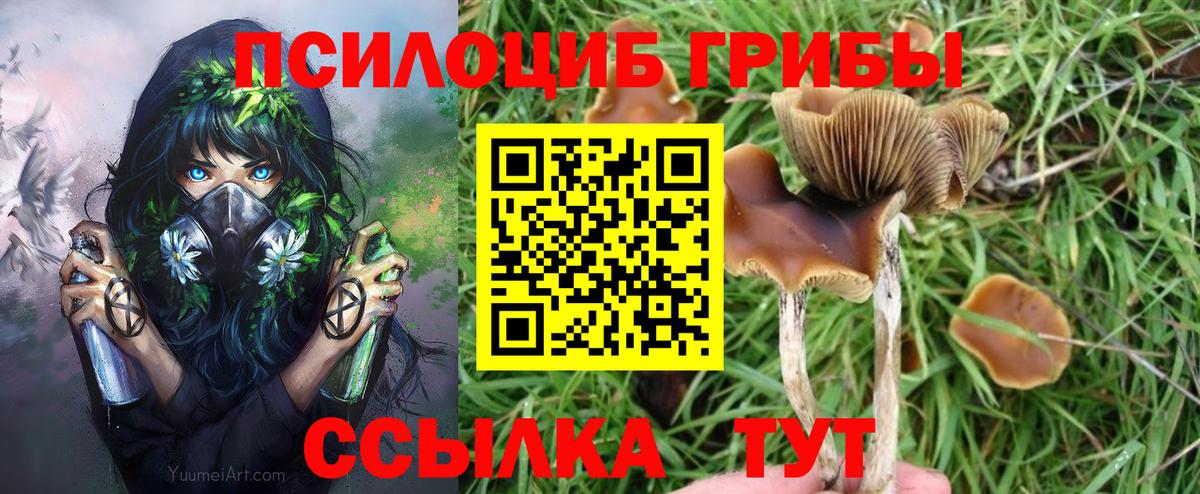 Галлюциногенные грибы прущие грибы Камень-на-Оби