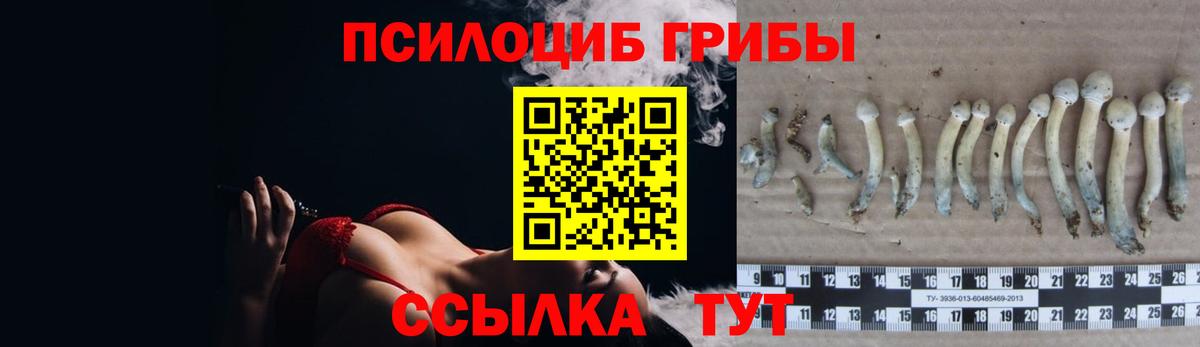 Галлюциногенные грибы мухоморы  Вход с VPN  Камень-на-Оби 